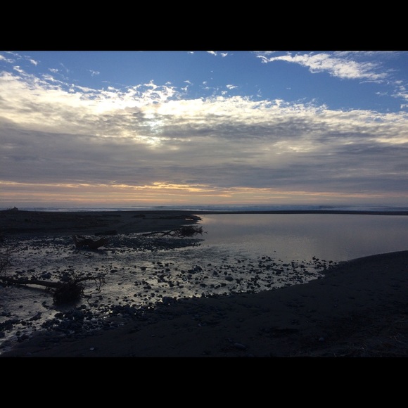 Meet your Posher, Evyn - Picture 2 of 2